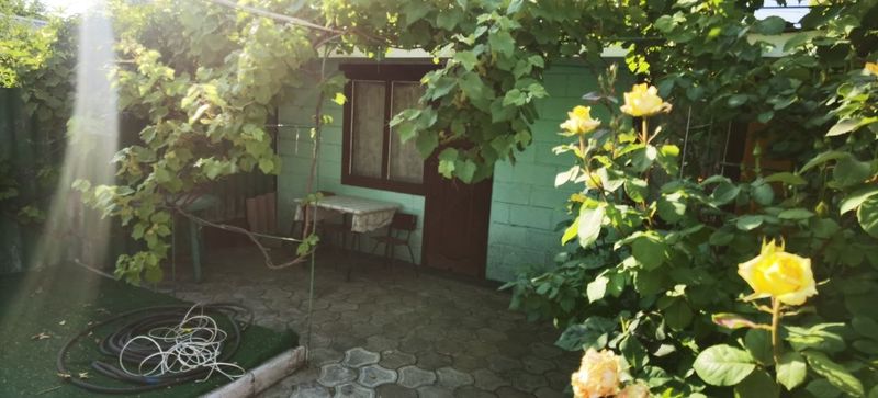 Пансионат "Алёнушки"