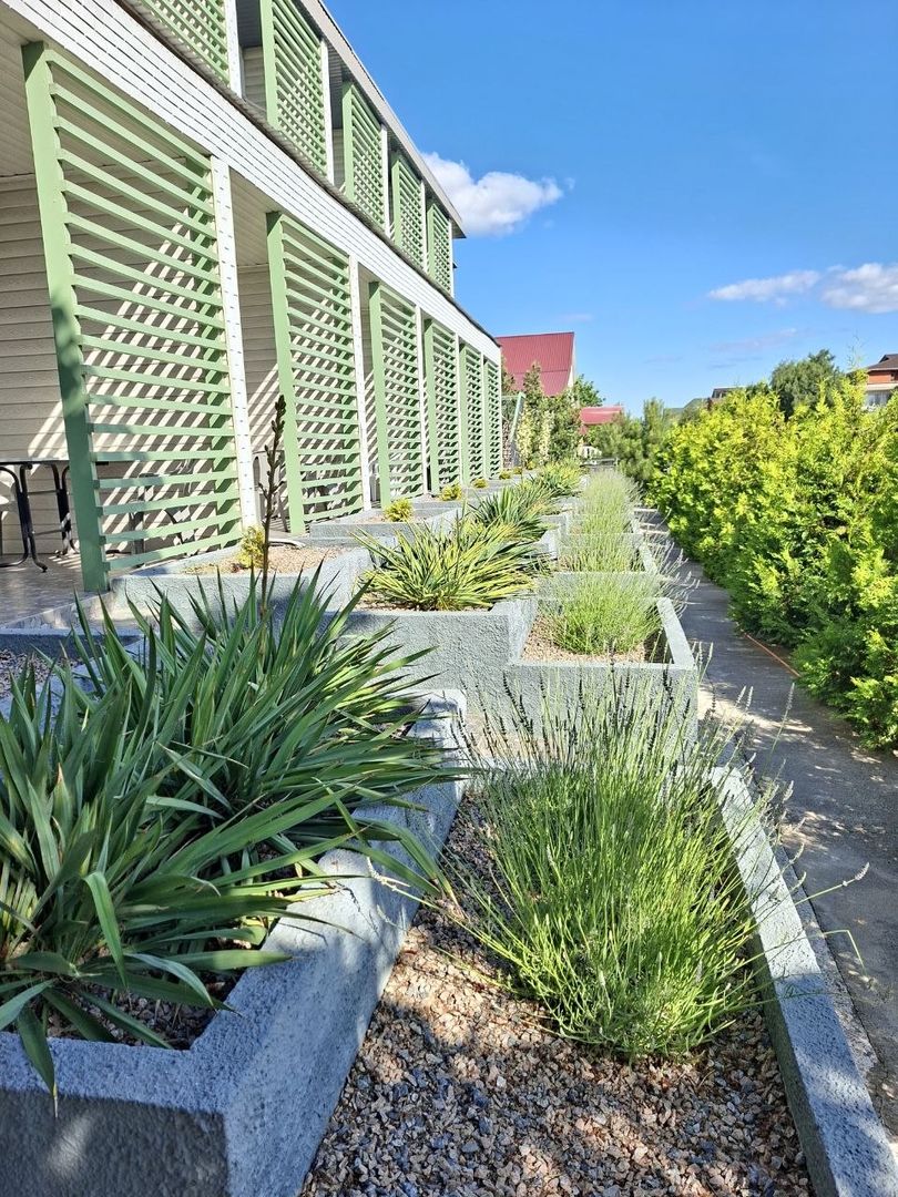 Гостиница "Лаванда"