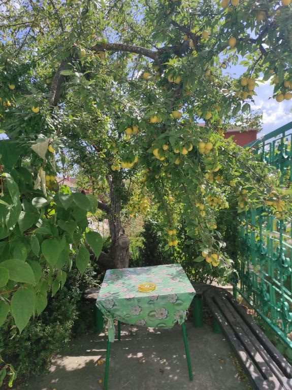 Гостевой дом "Солнышко"